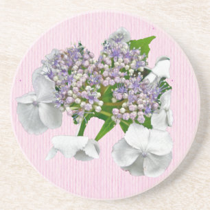 Blue Lace Hydrangea Coaster