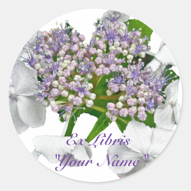 Blue Lace Hydrangea Coordinating Items Classic Round Sticker (Front)
