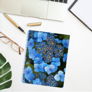 Blue Lacecap Hydrangea Floral Notebook