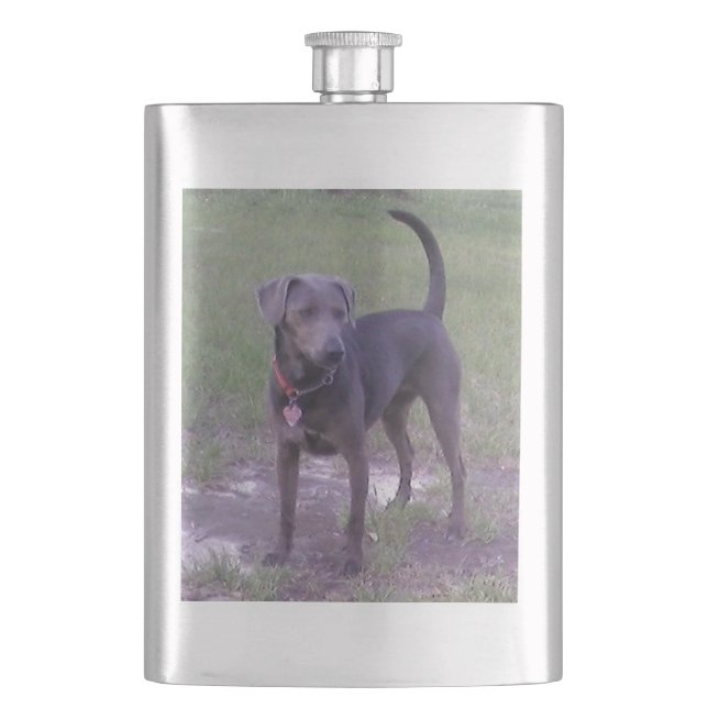 blue lacy full hip flask (Front)