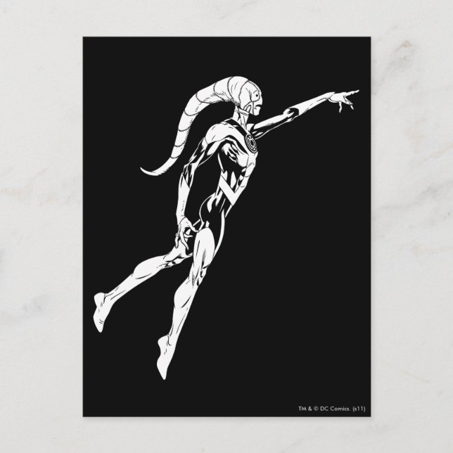 Blue Lantern 11 Postcard (Front)