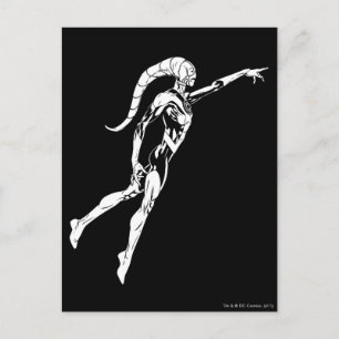 Blue Lantern 11 Postcard