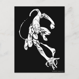 Blue Lantern 9 Postcard