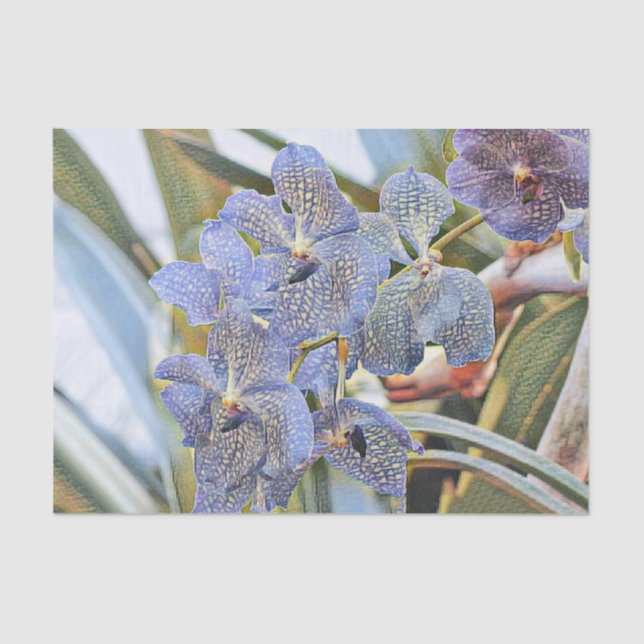 Blue lavander coloured orchid flowers tissue paper (Front)