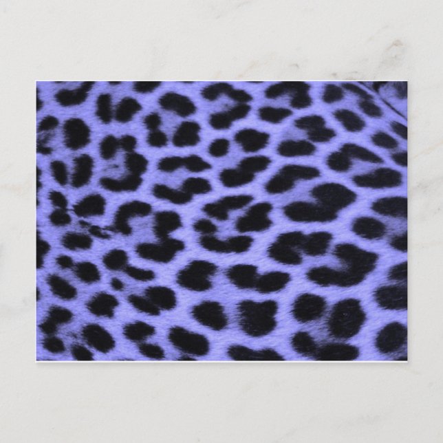 Blue Leopard print background Postcard (Front)