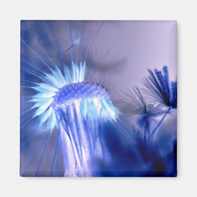 Blue Light Floral Print Square Magnet (Front)