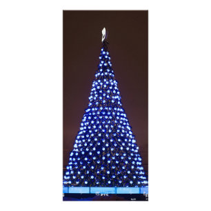 Blue lights Christmas tree Rack Card
