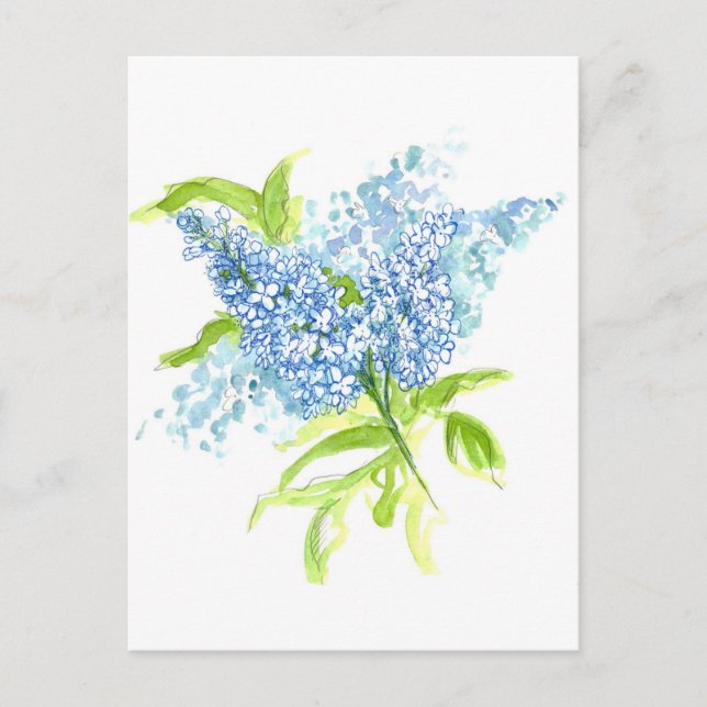 Blue Lilacs Spring Bouquet Watercolor Flowers Postcard (Front)