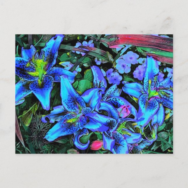Blue Lilies Postcard (Front)