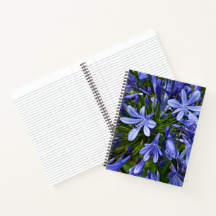 Blue Lily of the Nile Agapanthus Floral Notebook