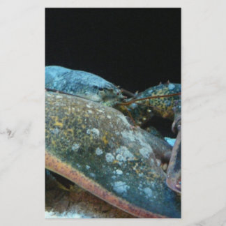 blue lobster