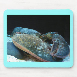blue lobster mouse pad