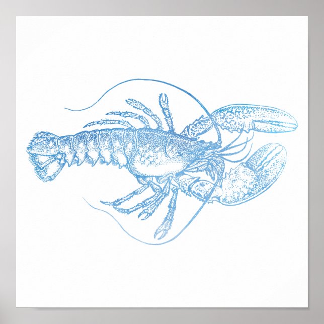 Blue Lobster Poster (Front)