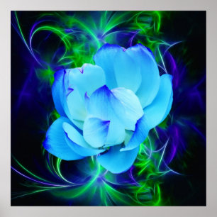 Blue lotus flower and its meaning poster