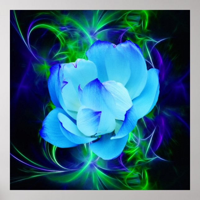 Blue lotus flower and its meaning poster (Front)