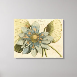Blue Lotus Flower on Tan Background with Writing Canvas Print