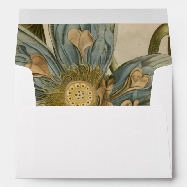 Blue Lotus Flower on Tan Background with Writing Envelopes (Back (Bottom))