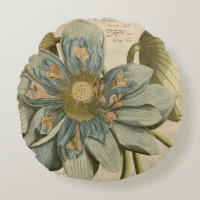 Blue Lotus Flower on Tan Background with Writing