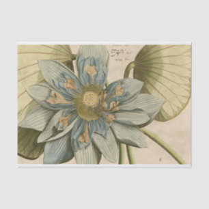 Blue Lotus Flower on Tan Background with Writing Tissue Paper