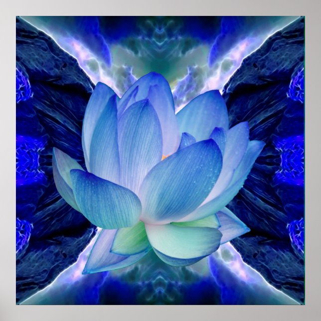 Blue lotus flower poster (Front)