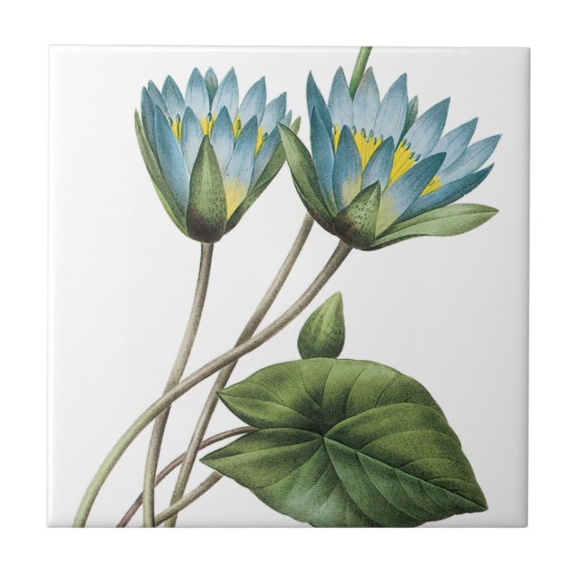BLUE LOTUS FLOWERS TRIVET (Front)