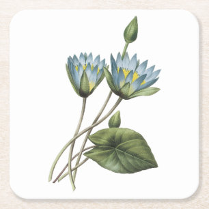 blue lotus(Nymphaea caerulea) by Redouté Square Paper Coaster
