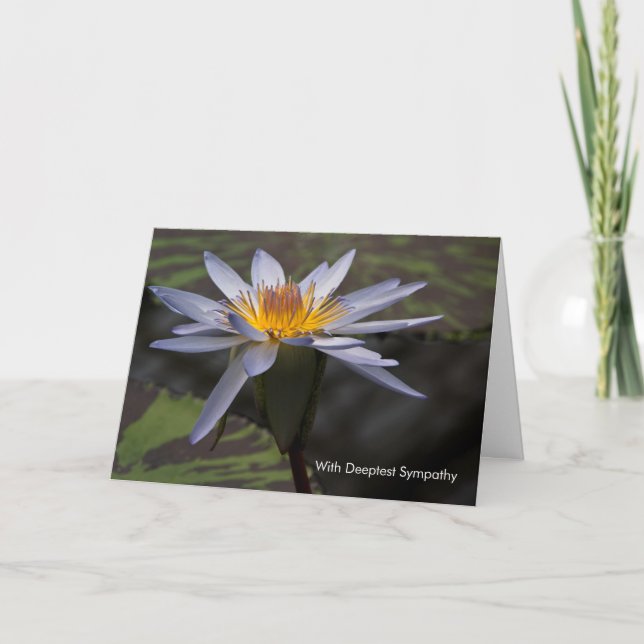 Blue Lotus • Sympathy Card (Front)