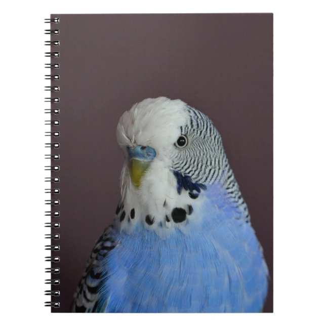 Blue Lovely Budgie Notebook (Front)