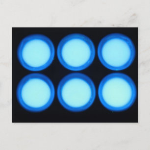 Blue Luminescence Postcard