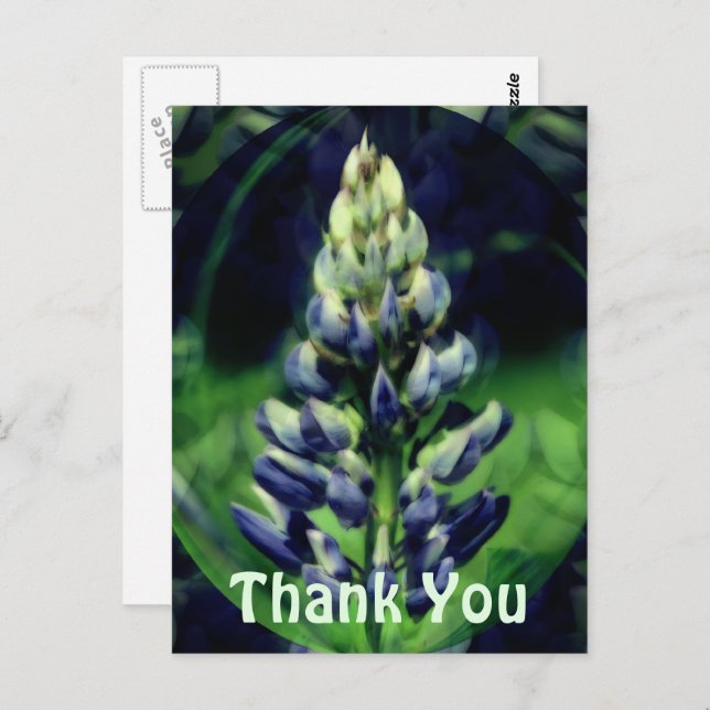 Blue Lupine Abstract Floral Thank You Postcard (Front/Back)