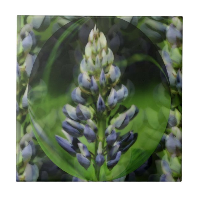 Blue Lupine Flower Abstract Art Tile (Front)