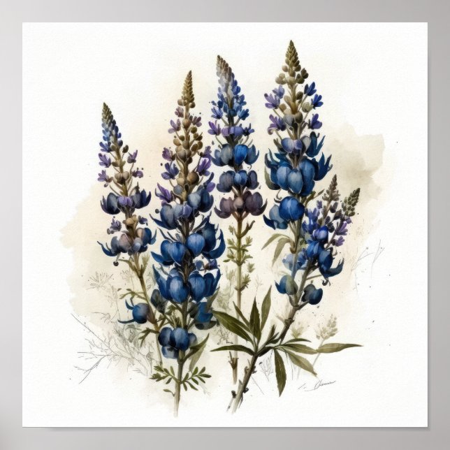 Blue Lupine Flower Art Print Poster (Front)
