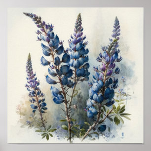 Blue Lupine Flower Art Print Poster