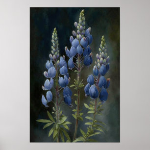 Blue Lupine Flower Art Print Poster