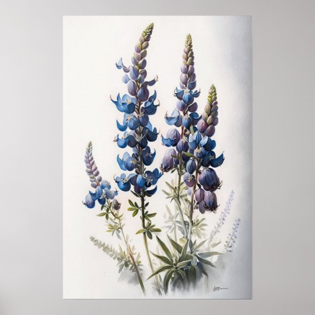 Blue Lupine Flowers Art Print Poster (Front)