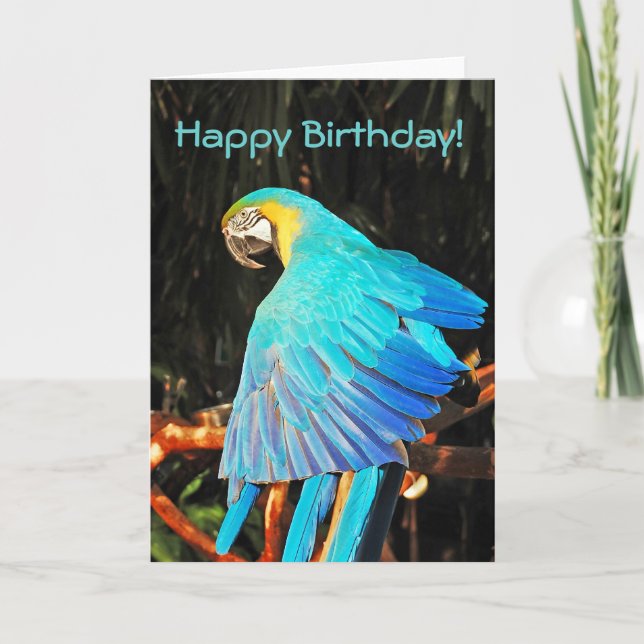 Blue macaw parrot birthday greeting card (Front)