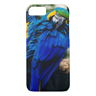 Blue Macaw Parrot, Exotic Tropical Bird Case-Mate iPhone Case