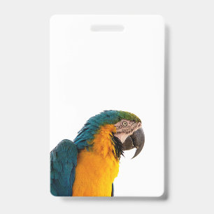 Blue macaw parrot  ID badge