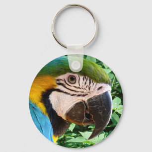 Blue Macaw Parrot Keychain