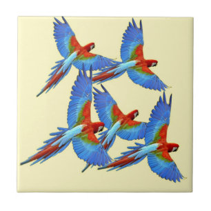 BLUE MACAW PARROTS TILE