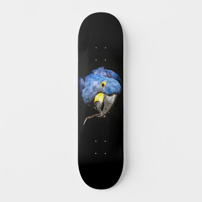 Blue Macaw Skateboard (Front)