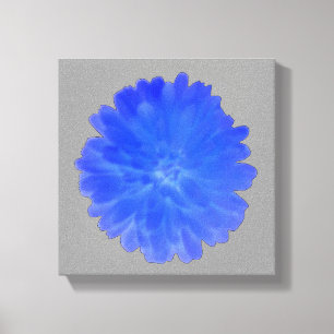 Blue Marigold Canvas Print