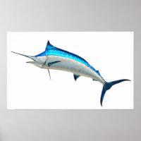 Blue Marlin Game Fish