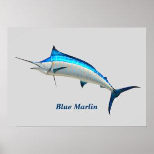 Blue Marlin Poster