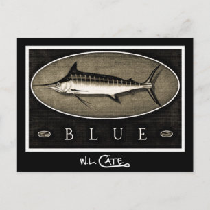 Blue Marlin Vintage Black & White Postcards