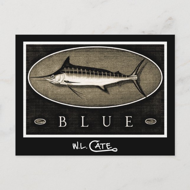 Blue Marlin Vintage Black & White Postcards (Front)