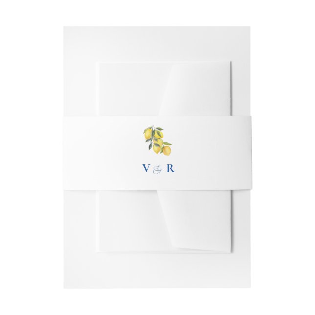 Blue Mediterranean Tile and citrus  Invitation Belly Band (Front Example)