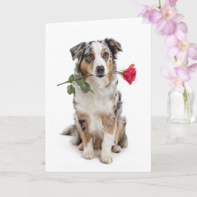 Blue Merle Aussie Valentine – Devoted Love Card (Orchid)