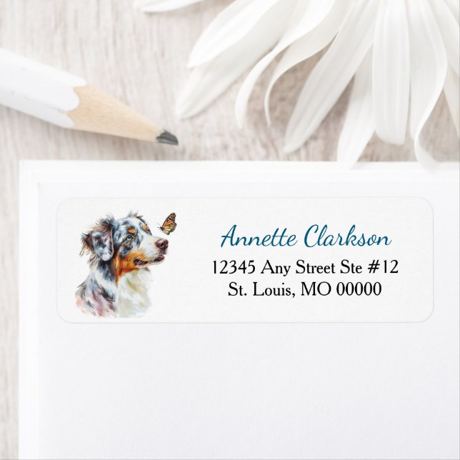 Blue Merle Australian Shepherd Butterfly Wonder (Insitu)
