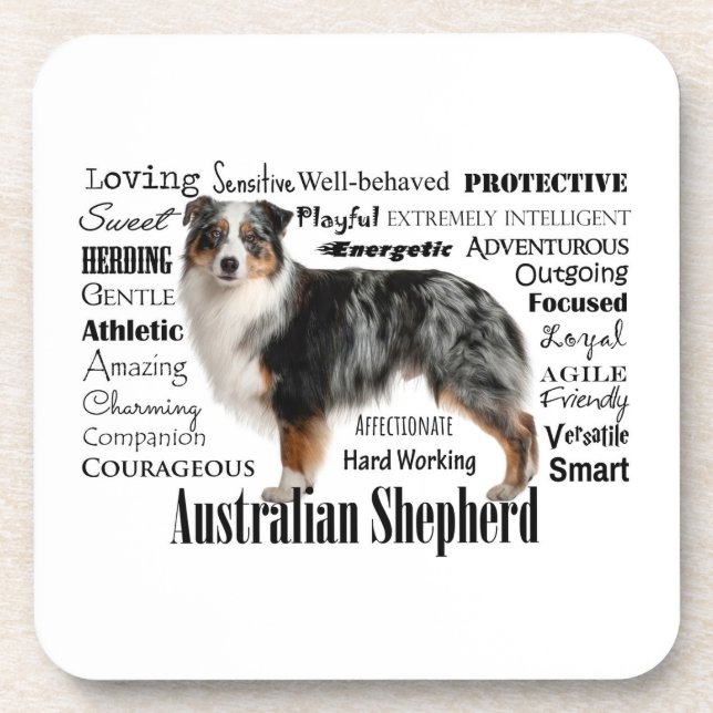 Blue Merle Australian Shepherd Coaster (Front)